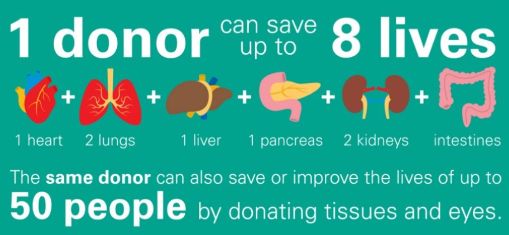 1 One donor can save eight lives