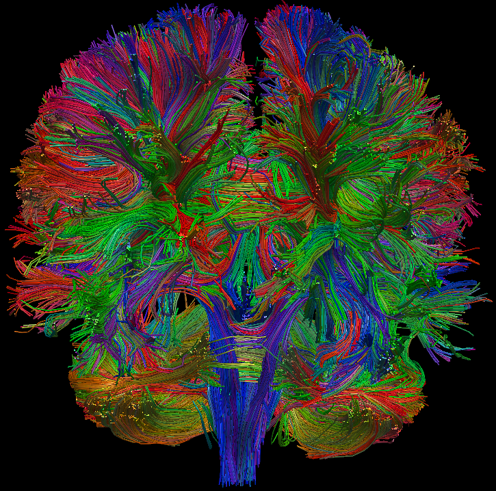 Neurotransmiters