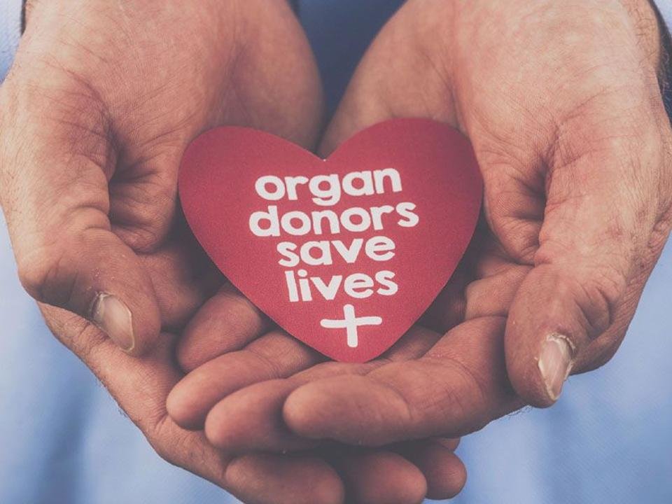 Organ Donor 2